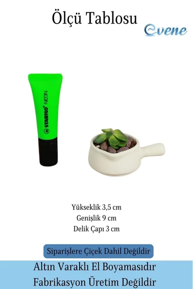 Evene Mini Çiçek Saksı Küçük Sukulent Beyaz Kaktüs Saksısı Tava Model - Resim 2