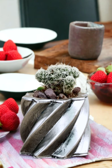 Viselia Kaktüs Saksısı Sukulent El Yapımı Saksı Balkon Çiçek Saksısı Ev Saksısı Saksı Model 9 Gümüş - Resim 5