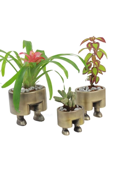 Evene Saksı Çiçek Kaktüs Saksısı Lüx 13 Cm Altın Eskitme Varak Boyalı Pantolon Desenli 3'lü Set Çiçeklik