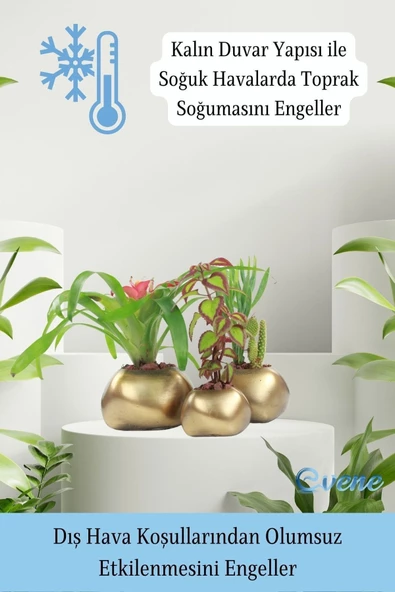 Evene Saksı Çiçek Kaktüs Saksısı Lüx 14 Cm Altın Eskitme Varak Boyalı Elips Desenli 3'lü Set Çiçeklik - Resim 7