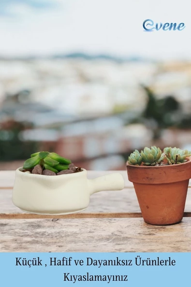Evene Mini Çiçek Saksı Küçük Sukulent Beyaz Kaktüs Saksısı 3'lü Set Mini Tava Model - Resim 3