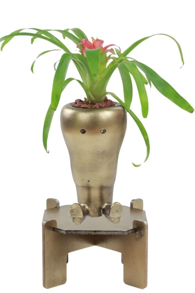 Stein Kohle Ayaklı Saksı Ahşap Büyük Boy 1 Adet Altın Renk Eskitme Uygulamalı Havuç Model ürün görseli 1