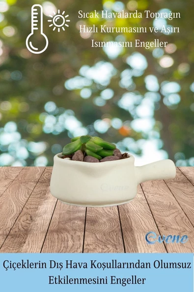 Evene Mini Çiçek Saksı Küçük Sukulent Beyaz Kaktüs Saksısı Tava Model - Resim 4