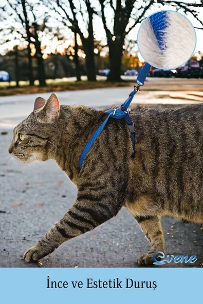 Evene Kedi Tasması Kedi Göğüs Bel Ayarlanabilir Dayanıklı Sağlam Tasma 1 cm İnce Kolon Mavi - 5