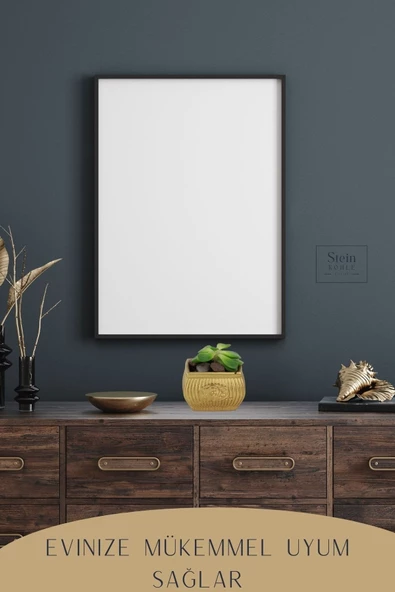 Stein Kohle Dekoratif Saksı Minik Kaktüs Saksısı Altın Renk 3 Adet Saksı Seti Mini Çaydanlık Model - Resim 5