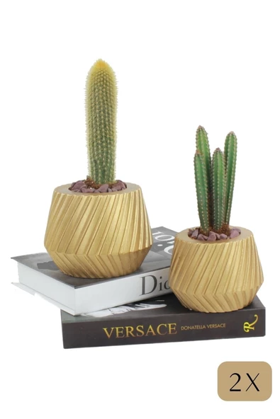 Stein Kohle Çiçek Saksısı Büyük Boy 2 Adet Altın Renk Uygulamalı Dişli Model ürün görseli 1