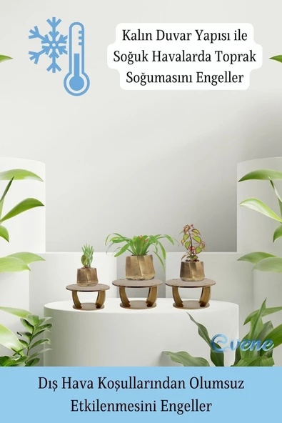 Evene Ahşap Ayaklı Beton Saksı Büyük Boy Set 3 Adet Altın Varak Boyalı Eskitmeli Kalın Çizgili Model - Resim 7