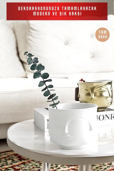 tambana Dekoratif Sukulent Saksısı Küçük Mini Beton Saksı Beyaz Model 29 - Resim 4