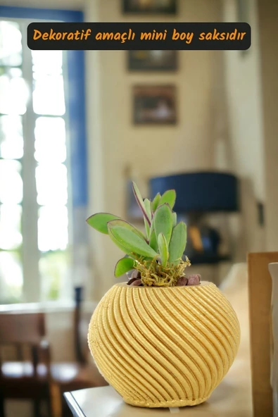 Viselia Kaktüs Saksısı Sukulent El Yapımı Saksı Balkon Çiçek Saksısı Ev Saksısı Saksı Model 1 Altın - Resim 2