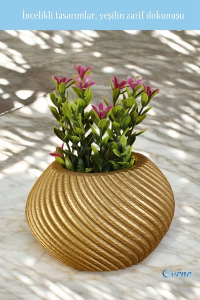 Evene Mini Çiçek Saksı Küçük Sukulent Altın Kaktüs Saksısı Ince Çizgili Spiral Model - Resim 5