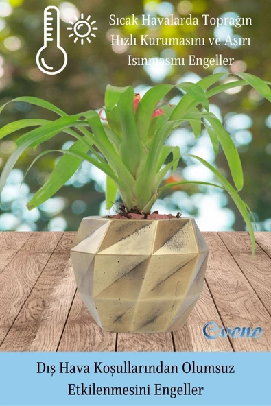 Evene Saksı Çiçek Kaktüs Saksısı Lüx 15 Cm Altın Eskitme Varak Boyalı Burgulu Desen Saksı 2li Set Çiçeklik - Resim 6