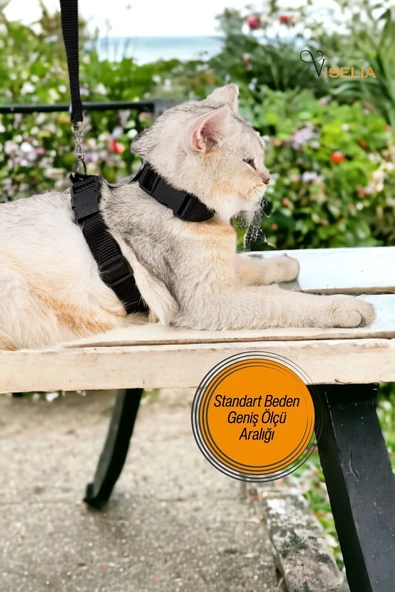 Viselia Kedi Tasması Boyun Göğüs Ayarlanabilir Sevk Kayışlı Gezdirme Seti - Resim 6