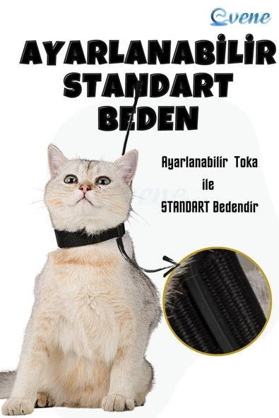 Evene Kedi Tasması Kedi Gögüs Bel Ayarlanabilir Tasma Siyah - 7