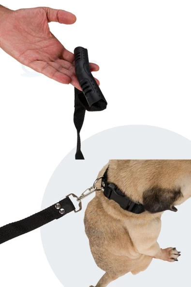 Evene Köpek Tasması Köpek Gezdirme Ayarlanabilir Boyun Tasması Siyah - 2