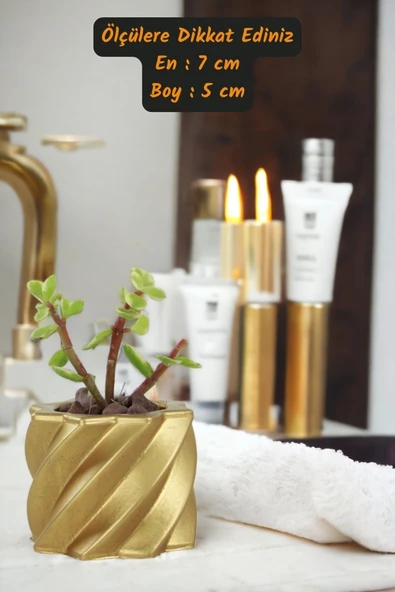 Viselia Kaktüs Saksısı Sukulent El Yapımı Saksı Balkon Çiçek Saksısı Ev Saksısı Saksı Model 9 Altın - Resim 3