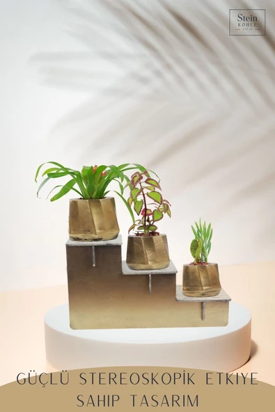 Stein Kohle Ayaklı Saksı Ahşap Büyük Boy 3 Adet Altın Renk Eskitme Uygulamalı Kalın Çizgi Model - Resim 4