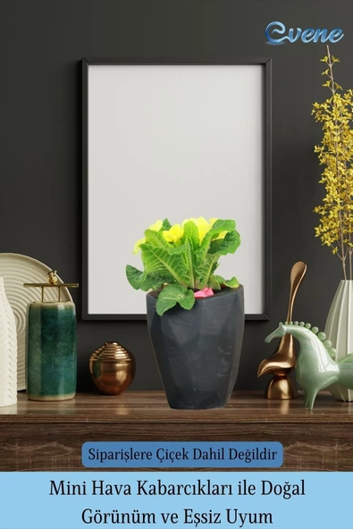 Evene Saksı Büyük Saksı Çiçek Saksısı Büyük Boy Saksı Salon Saksısı Model 9 Siyah Saksı - Resim 6