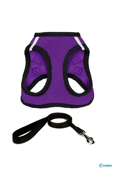 Evene Kedi Göğüs Tasması Kedi Köpek Boyun Göğüs Tasması M Beden Mor - Resim 2