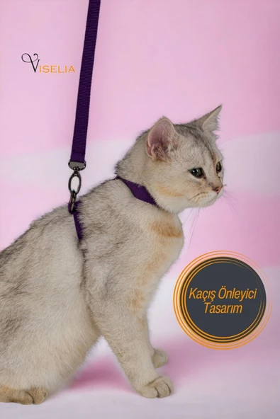 Viselia Kedi Tasması Boyun Göğüs Ayarlanabilir Sevk Kayışlı Gezdirme Seti - Resim 5