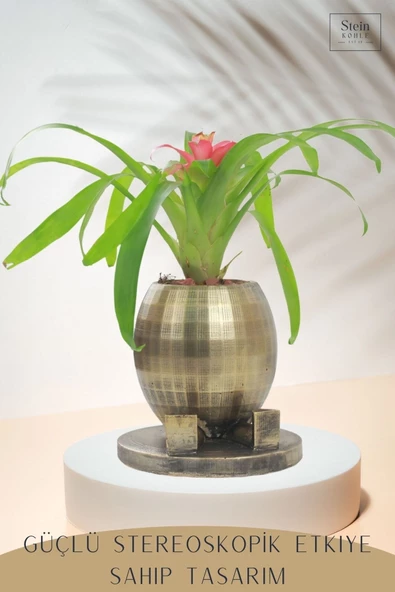 Stein Kohle Çiçek Saksısı Dekoratif Kaktüs Saksı 1 Adet Altın Renk Eskitme Uygulamalı Yuvarlak Ayaklı Model - Resim 4