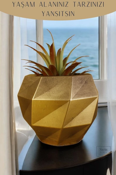 Stein Kohle Çiçek Saksısı Dekoratif Kaktüs Saksı 1 Adet Altın Eskitme Renk Uygulamalı Dönen Poly Model - Resim 5