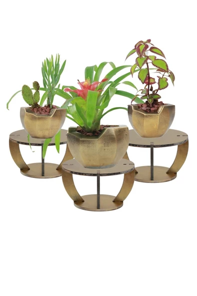 Evene Ahşap Ayaklı Beton Saksı Büyük Boy Set 3 Adet Altın Eskitme Varak Boyalı Eskitmeli Önü Açık Model ürün görseli 1