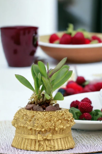 Viselia Kaktüs Saksısı Sukulent El Yapımı Saksı Balkon Çiçek Saksısı Ev Saksısı Saksı Model 3 Altın - Resim 5