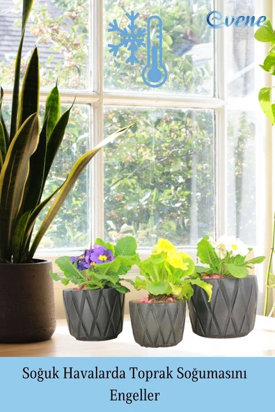 Evene Saksı Büyük Saksı Çiçek Saksısı Büyük Boy Saksı Salon Saksısı Model 7 Siyah Saksı - Resim 5