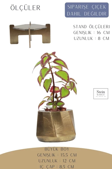 Stein Kohle Ayaklı Saksı Ahşap Büyük Boy 1 Adet Altın Renk Eskitme Uygulamalı Kalın Çizgi Model - Resim 2