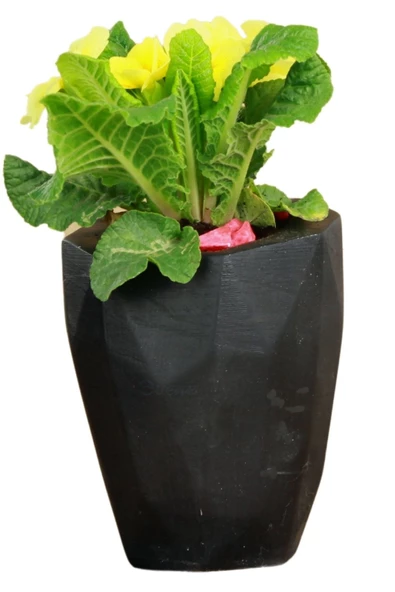 Evene Saksı Büyük Saksı Çiçek Saksısı Büyük Boy Saksı Salon Saksısı Model 9 Siyah Saksı ürün görseli 1