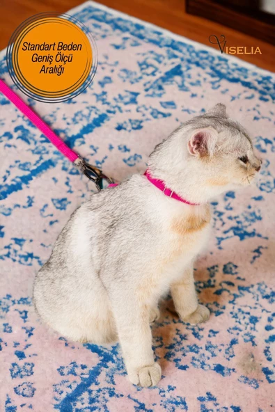 Viselia Kedi Tasması Boyun Göğüs Ayarlanabilir Sevk Kayışlı Gezdirme Seti - 6