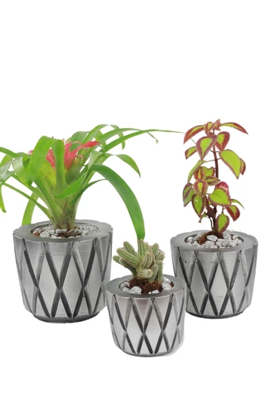 Evene Saksı Çiçek Kaktüs Saksısı Lüx 15 Cm Gümüş Eskitme Varak Boyalı Baklava Desenli 3'lü Set Çiçeklik ürün görseli 1