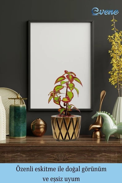 Evene Saksı Çiçek Kaktüs Saksısı Lüx 15 Cm Altın Eskitme Varak Boyalı Baklava Desenli 3'lü Set Çiçeklik - 8