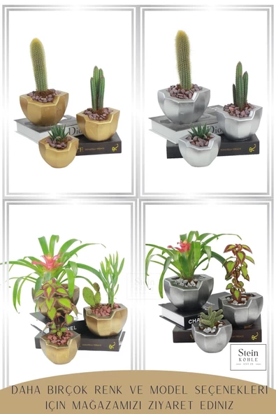 Stein Kohle Çiçek Saksısı Büyük Boy 3 Adet Altın Renk Uygulamalı Önü Açık Model - Resim 5