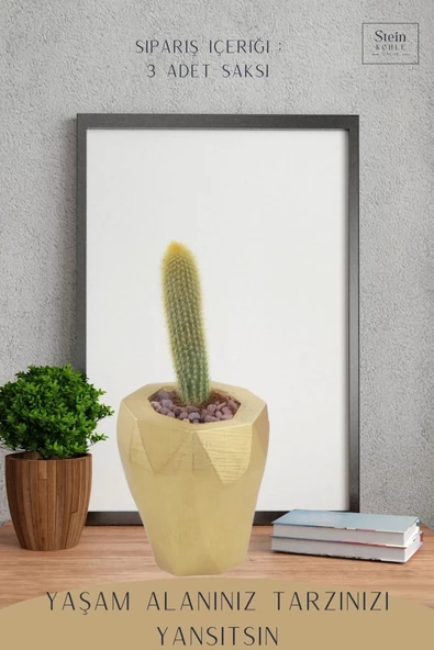 Stein Kohle Çiçek Saksısı Büyük Boy 3 Adet Altın Renk Uygulamalı Uzun Poly Model - Resim 4