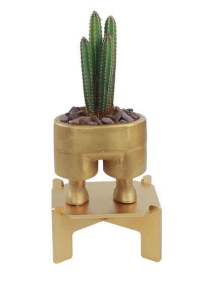 Stein Kohle Ayaklı Saksı Ahşap Büyük Boy 1 Adet Altın Renk Uygulamalı Pantolon Model