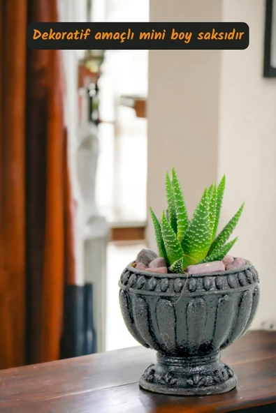 Viselia Kaktüs Saksısı Sukulent El Yapımı Saksı Balkon Çiçek Saksısı Ev Saksısı Saksı Model 17 Siyah - Resim 2