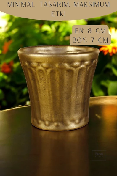 Stein Kohle Dekoratif Saksı Minik Kaktüs Saksısı Altın Eskitme Renk Model 40 - Resim 2