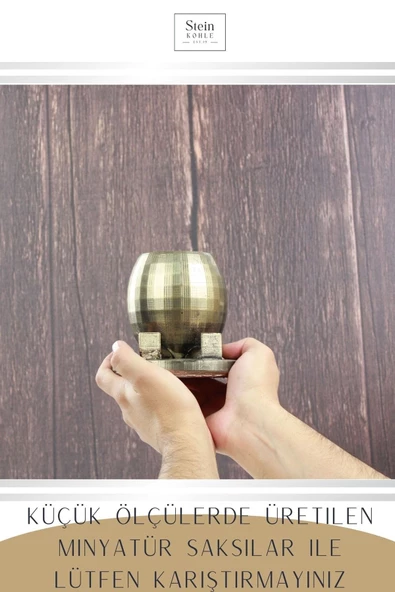 Stein Kohle Çiçek Saksısı Dekoratif Kaktüs Saksı 1 Adet Altın Renk Eskitme Uygulamalı Yuvarlak Ayaklı Model - Resim 3