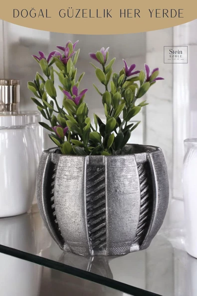 Stein Kohle Dekoratif Saksı Minik Kaktüs Saksısı Gümüş Eskitme Renk Model 41 - Resim 5