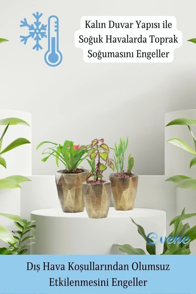 Evene Saksı Çiçek Kaktüs Saksısı Lüx 15 Cm Altın Eskitme Varak Boyalı Uzun Poly Desenli 3'lü Set Çiçeklik - Resim 7