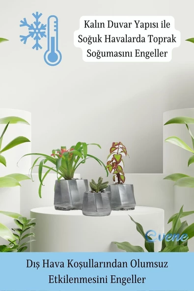 Evene Saksı Çiçek Kaktüs Saksısı Lüx 15 Cm Gümüş Eskitme Varak Boyalı Kalın Çizgi Desen 3'lü Set Çiçeklik - Resim 7