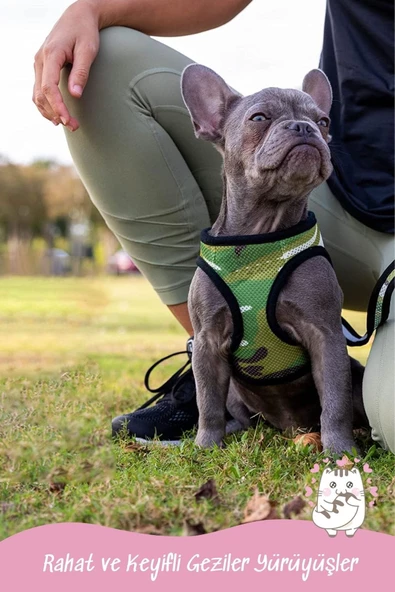 Pandogo Kedi Köpek Tasması Reflektörlü Fileli Hava Alan Kumaş Sevk Kayışlı Kedi Gezdirme Tasması Kırmızı M - Resim 6