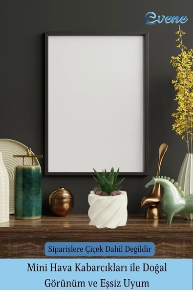 Evene Mini Çiçek Saksı Küçük Sukulent Beyaz Kaktüs Saksısı Kalın Çizgili Yıldız Model - Resim 6