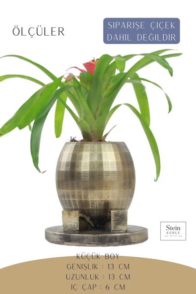 Stein Kohle Çiçek Saksısı Dekoratif Kaktüs Saksı 1 Adet Altın Renk Eskitme Uygulamalı Yuvarlak Ayaklı Model - Resim 2