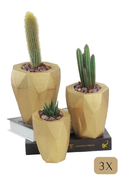 Stein Kohle Çiçek Saksısı Büyük Boy 3 Adet Altın Renk Uygulamalı Uzun Poly Model ürün görseli 1