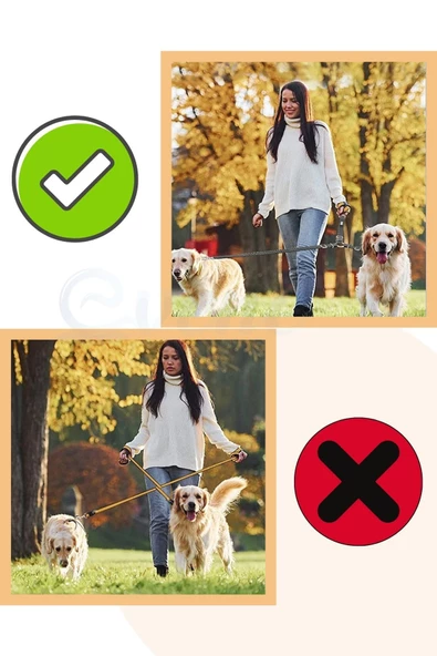 Evene Kedi Gezdirme Tasması Kedi Gezdirme Ipi Çiftli Tasma Model 9 Sarı - 6