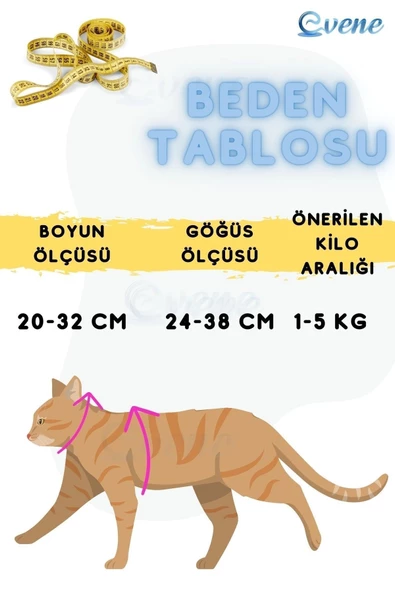 Evene Kedi Tasması Kedi Göğüs Bel Ayarlanabilir Dayanıklı Sağlam Tasma Mavi - Resim 7