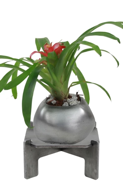 Stein Kohle Ayaklı Saksı Ahşap Büyük Boy 1 Adet Gümüş Renk Eskitme Uygulamalı Spiral Oval Model ürün görseli 1