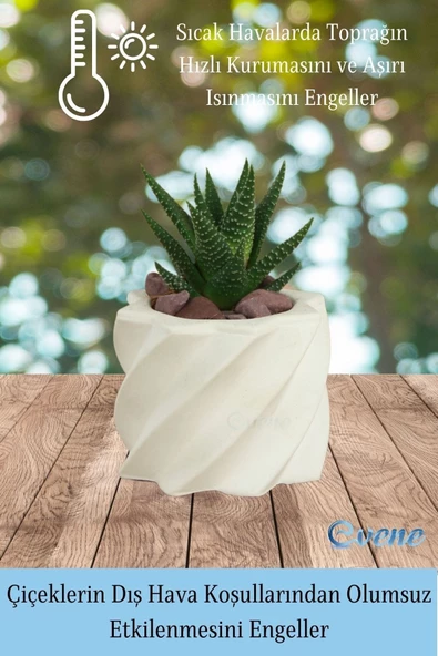 Evene Mini Çiçek Saksı Küçük Sukulent Beyaz Kaktüs Saksısı Kalın Çizgili Yıldız Model - Resim 4